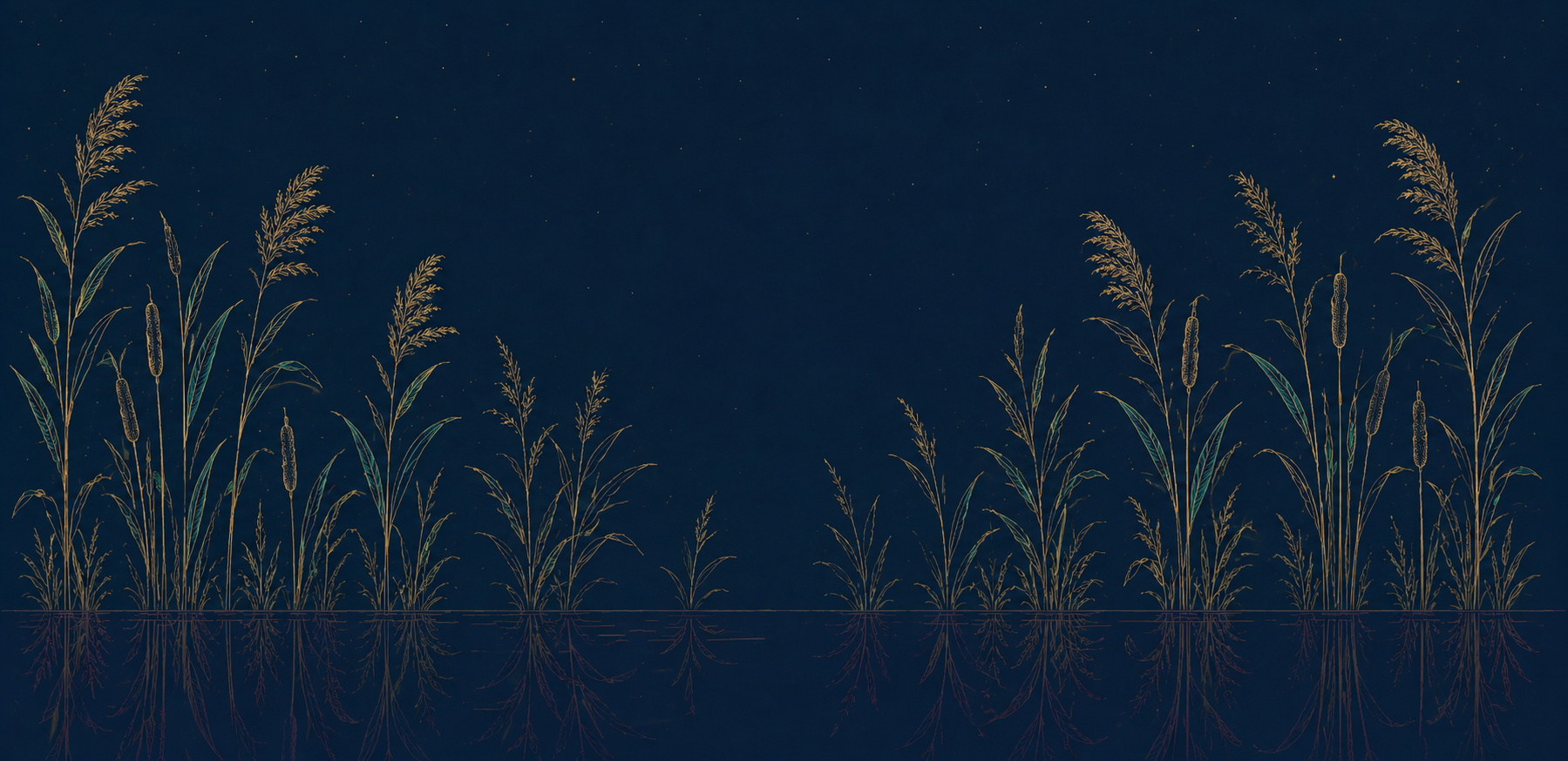 A bed of reeds at night — champagne stems above the waterline, plum reflections beneath